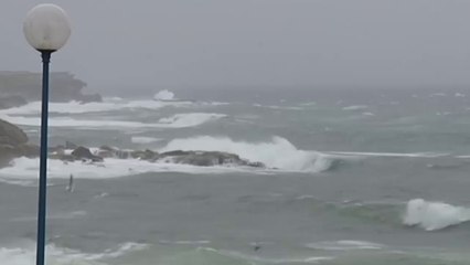 Une tempête ravage la région de Sydney