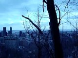 Panorama du centre ville de Montréal 1