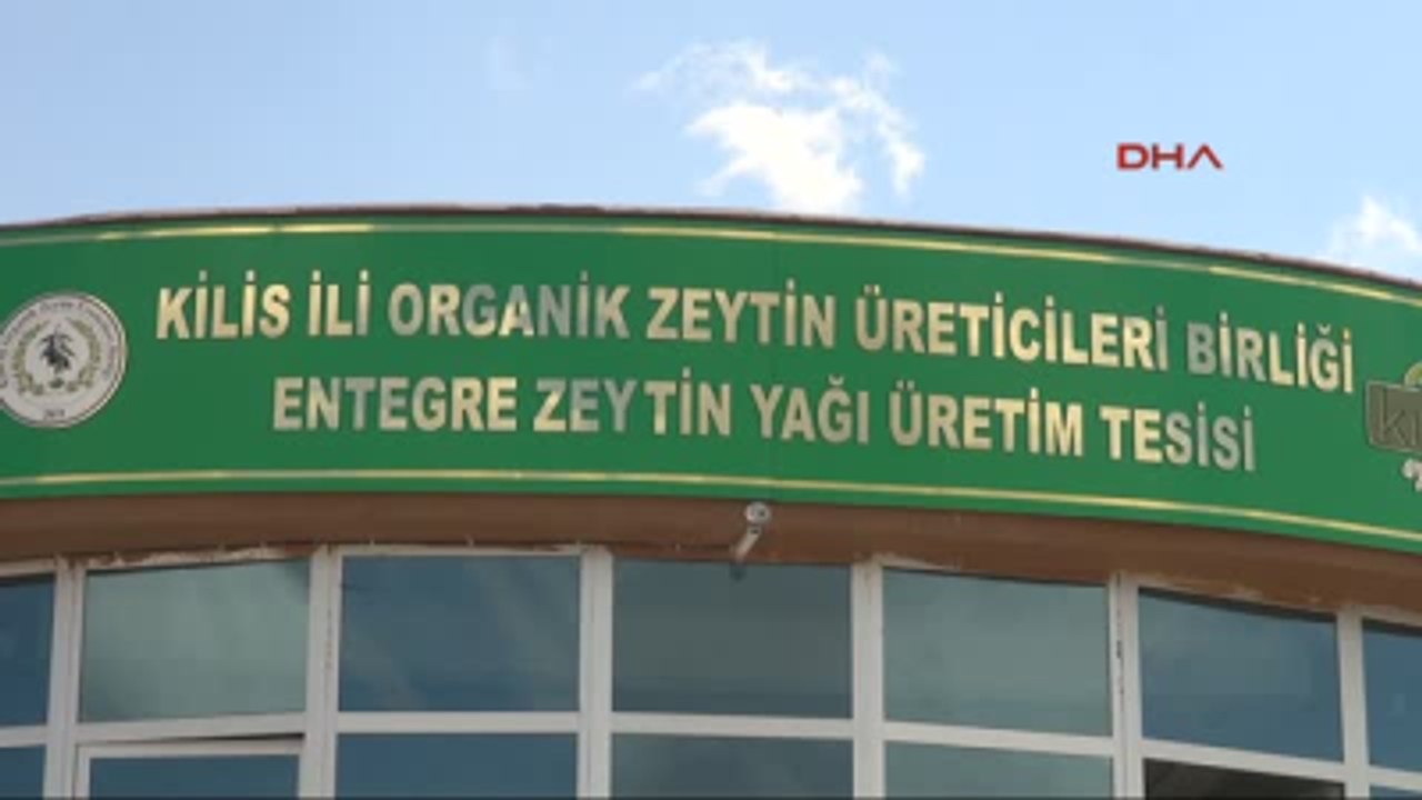 Kilis Japon Heyetinden Kilis'te Zeytinyağı İncelemesi