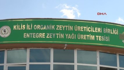 Kilis Japon Heyetinden Kilis'te Zeytinyağı İncelemesi