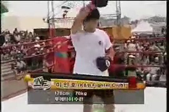 Taekwondo vs Muay Thai