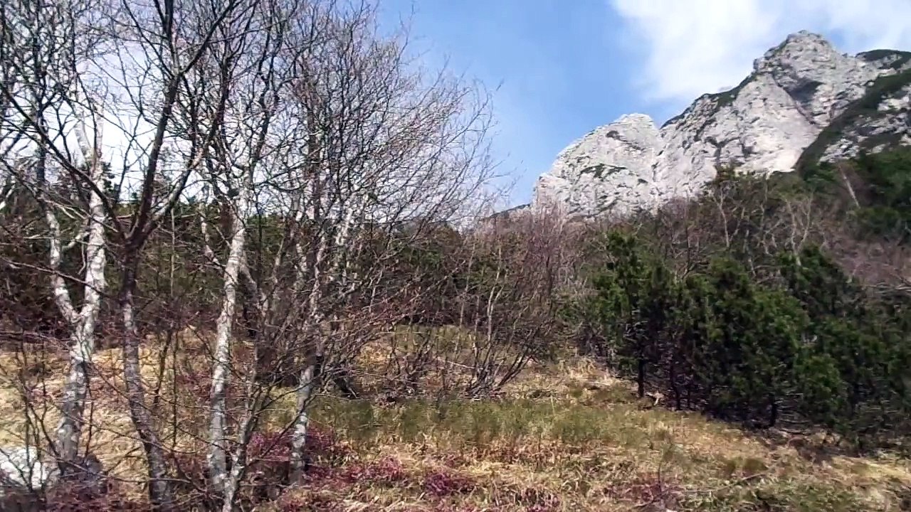 Monte Rest #2