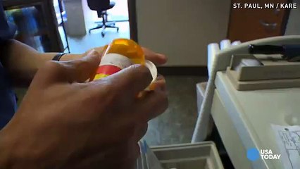 Le voyage que ce petit chien, Nala fait chaque jour va vous émouvoir