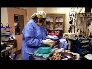 THE MYSTERIOUS HUMAN HEART | PBS