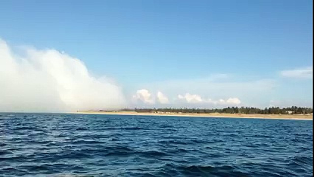 what a beautiful nature