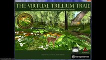 Virtual Reality, Immersive Learning Simulations and Virtual Environments