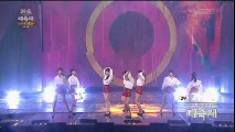[K-POP] SNSD (少女時代) - Mr_Mr_   FLYERS (Live)