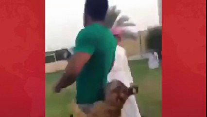 it can be dangerous to play with lions.