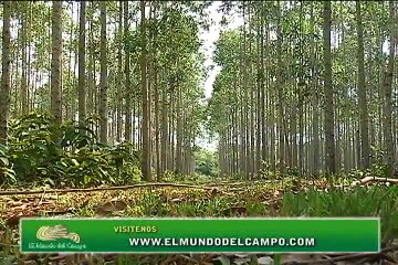 16 de abril de 2015 Finca Altamira Ganadería Las Gaviotas con comerciales