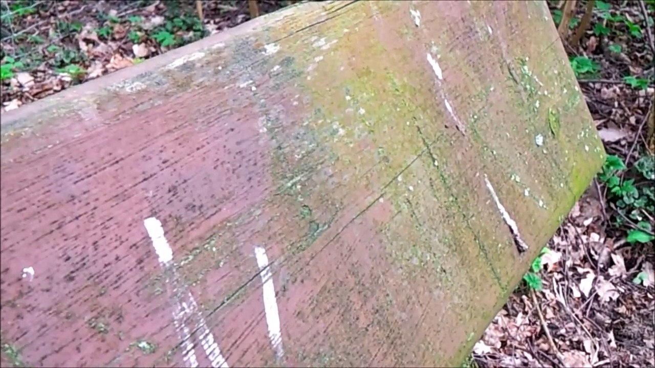 Pinneberg April 2015 - Wasserski /Full Film/Ganzer Film/Complete Movie