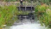 Chris Watson prepares for London Wild Bird Watch