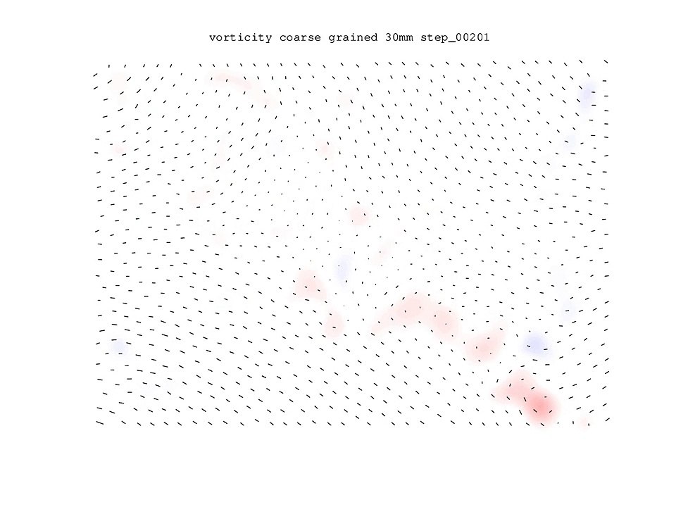 Vorticity field for 2D sheared ganular medium (coarse grained)