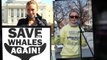 Activista de derechos de animales Hayden Panettiere es nuestra Woman Crush Wednesday