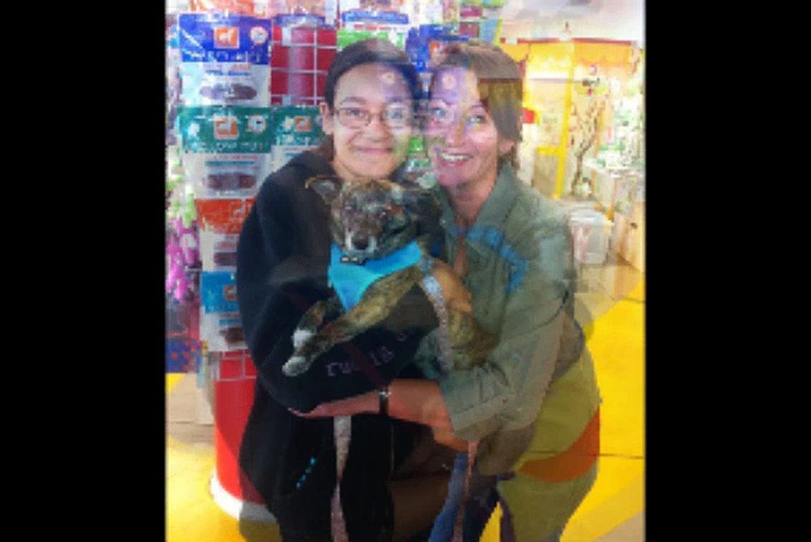 ⁣Animal Adoption & Pet Rescue in Pasadena, CA