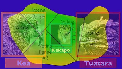 Mixed-Member Proportional Representation Explained