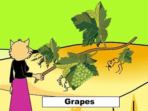 fruits-fruits name-how to learn words-how to learn english vocabulary-alphabets and words