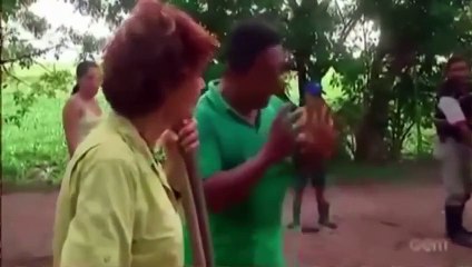 Bắt Trăn Khổng Lồ Dài 5m   the gioi dong vat   chuyen la   sinh vat la