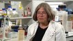 Model Organisms - Yeast - Professor Rhona Borts