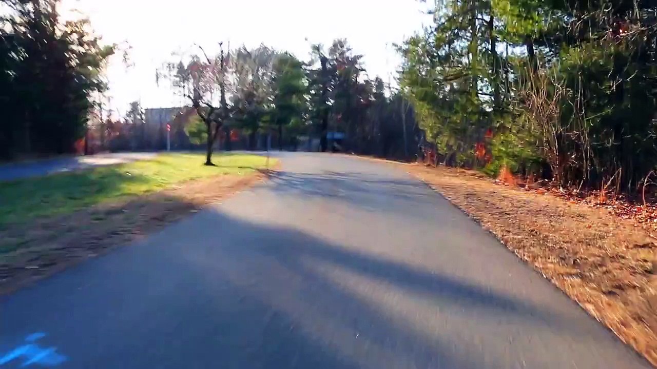 Going Longboarding!