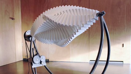 wonderfull triks of  plats video