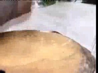 Experts Comptables Sans Frontières