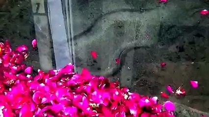 New Merical 2015 AllahKi Shan