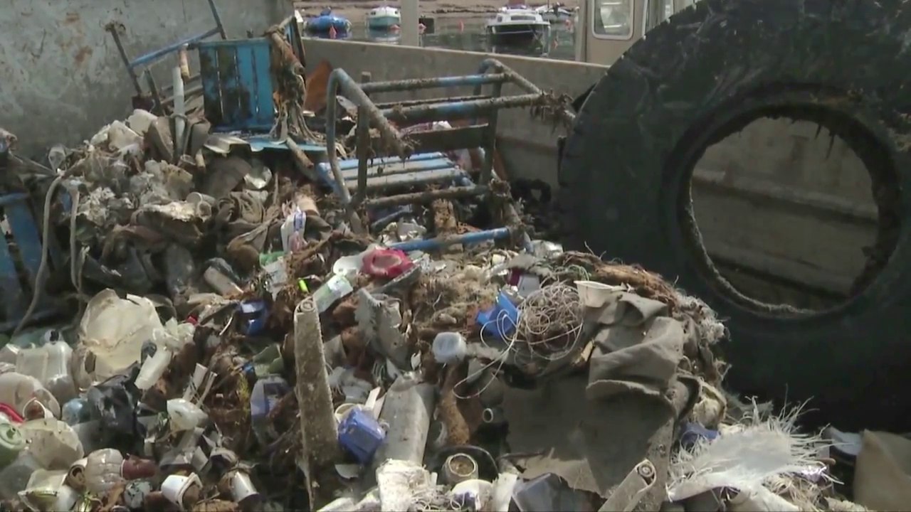 Fonds marins dépollués à Cannes