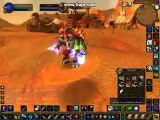 Wisp Hunters! (World of Warcraft 1.12 glitch)