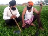 sardar ji diyan gallan best video