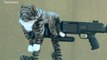 Fusil d'assaut planqué dans un chat en peluche pour tromper l'ennemi