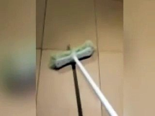 Spider explodes hundreds of babies after man swats arachnid with broom