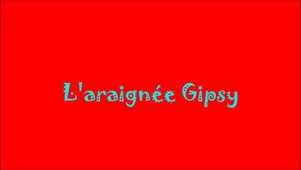 L'araignée Gipsy