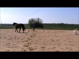 Défis à pied Avril 2015