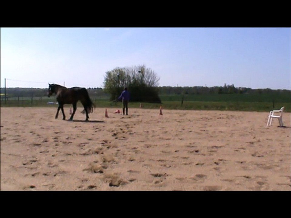 Défis à pied Avril 2015