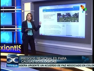 En América, los países más peligrosos del mundo para ambientalistas