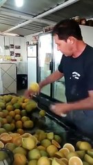 Gerçek Fruit Ninja oyunu