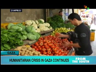 Gaza Suffers Under Ongoing Humanitarian Crisis