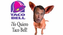 Taco Bell Lobbyists Held A  Congressional Taco Tuesday