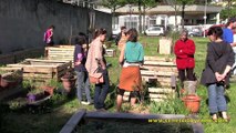 Fête de printemps au Jardin partagé du Covet