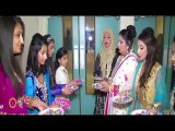 Asian Wedding Video - Wedding Reception - Walima - Highlights - 2015 2016