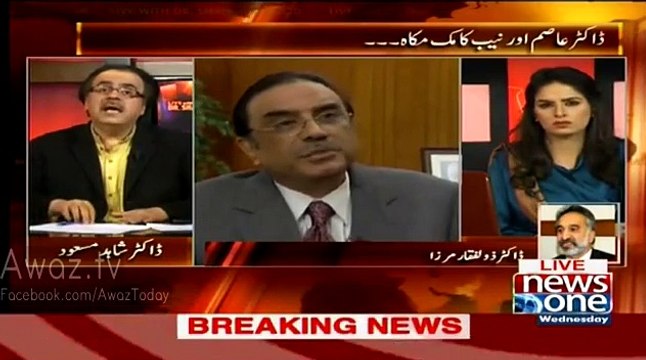 Veena Hayat, who was gang raped in 1991, was Asif Zardari's girlfriend - Zulfiqar Mirza