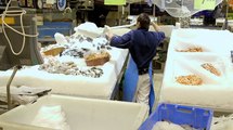 Découvrir le métier de Poissonnier - 