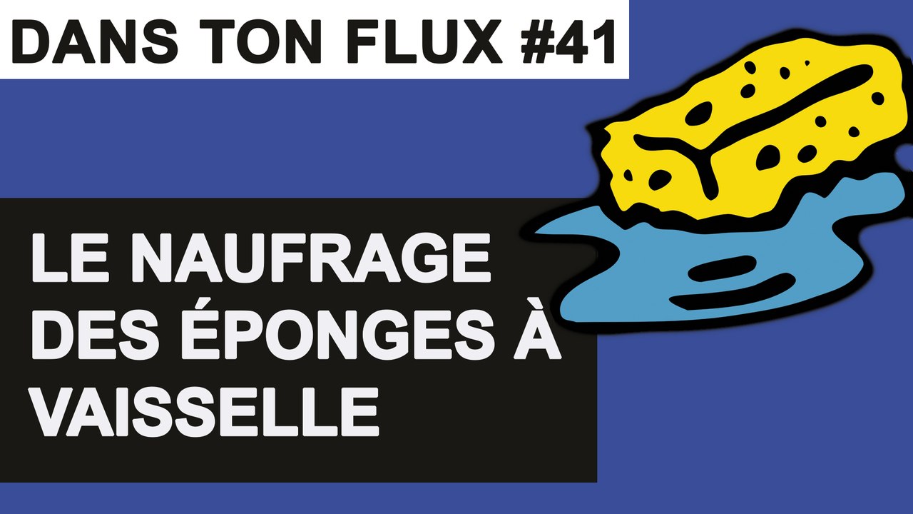 Le naufrage des éponges à vaiselles #DansTonFlux41