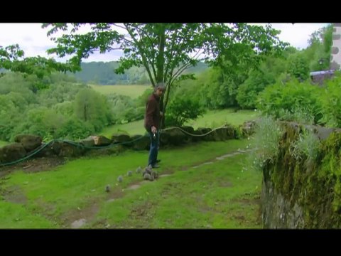 Kuş Bakışı Dünya - Yüksekten Uçuş