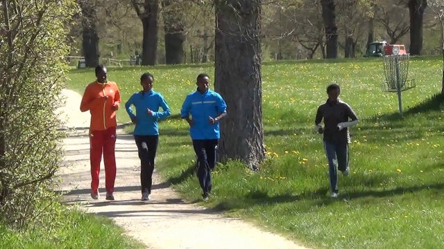 ATHLE.ch | Les favoris ethiopiens des 20KM de Lausanne