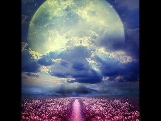 PORCUPINE TREE - FEAR OF A BLANK PLANET - My Ashes