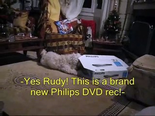 Dog opening his Philips christmas present! Funny!