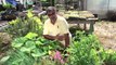 Step-by-Step Guide to Vegetable Gardens : Vegetable Gardening 101
