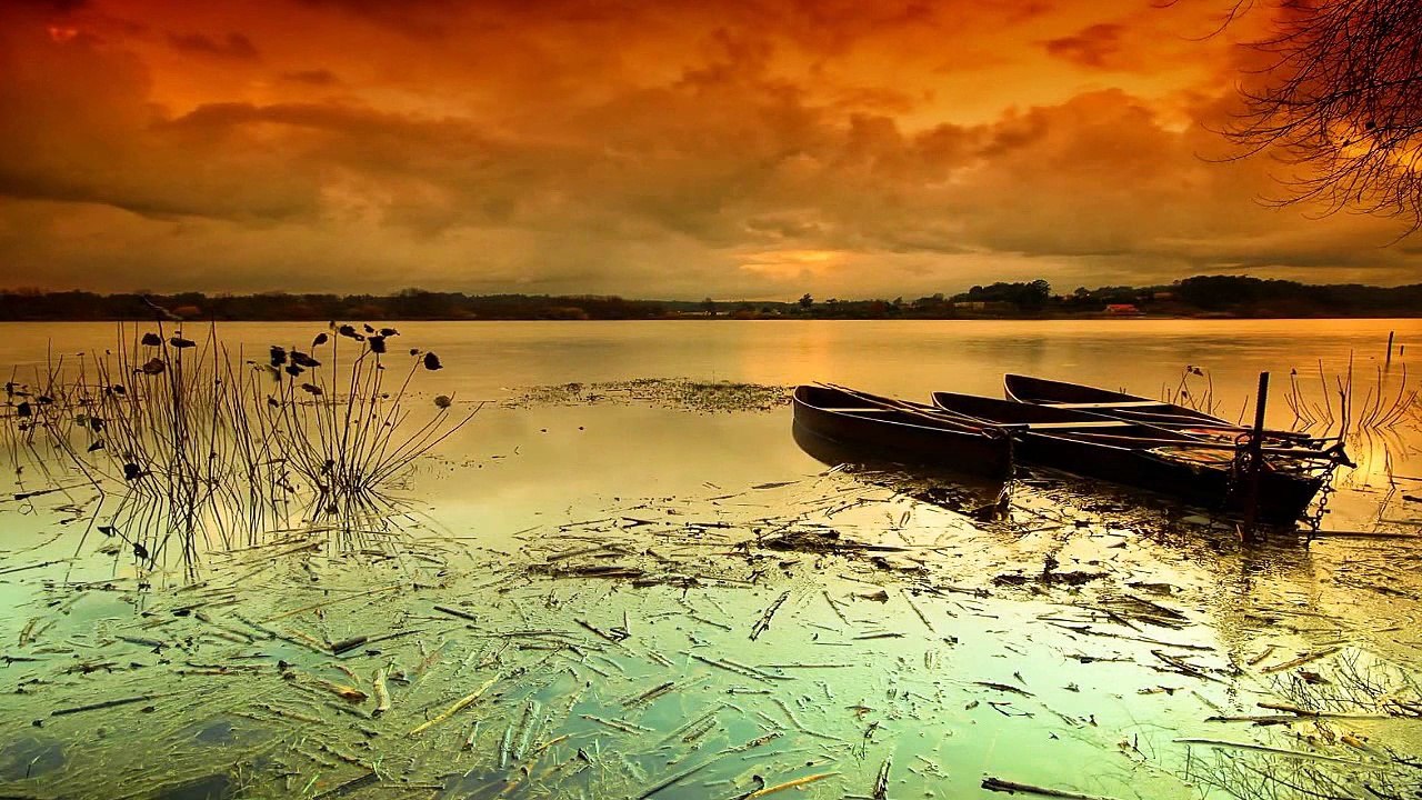 Bod Fleming -  La barca