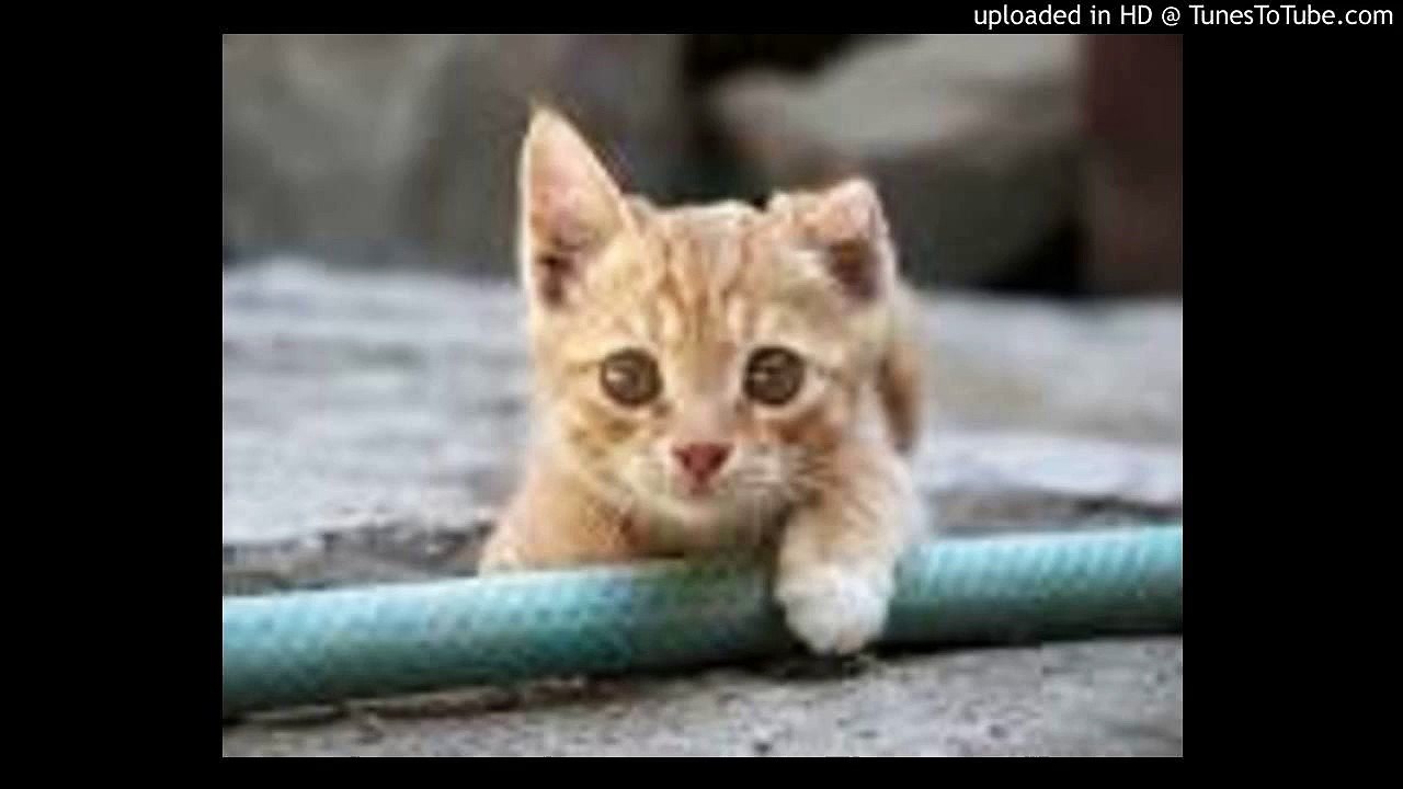 ルパン三世 愛のテーマ/Lupin The Third/ピアノ 高橋丈太郎